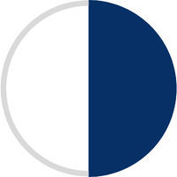White/Navy